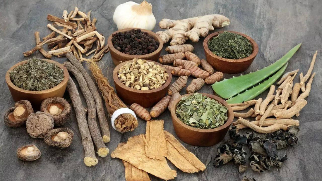 Ayurvedic Relief for Joint Pain, Liver Health & Women Wellness – A Natural Healing Approach