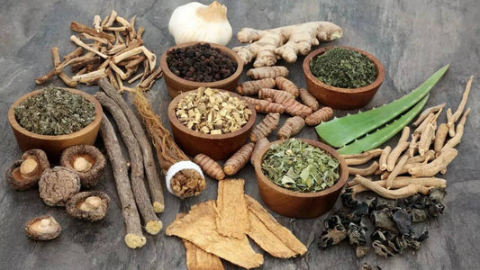 Ayurvedic Relief for Joint Pain, Liver Health & Women Wellness – A Natural Healing Approach